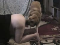 Blonde babe having dog sex while her tits are bouncing